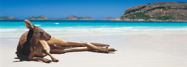 roo on beach.jpg