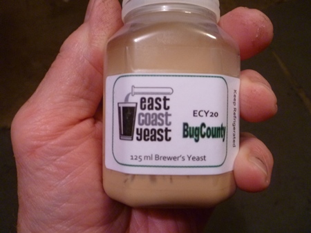 Bug Yeast.JPG