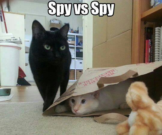 Spy.jpg