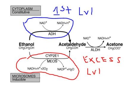 ethpathway1.jpg