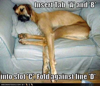 funny-dog-sleeping.jpg