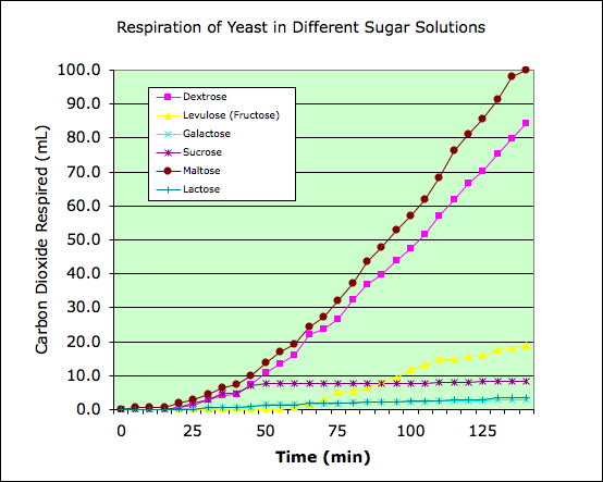 yeast_graph.png