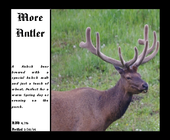 More Antler.jpg