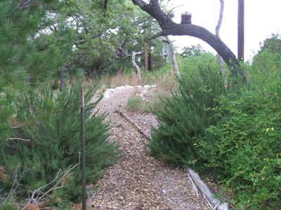 Walkway to Wildflowers.JPG