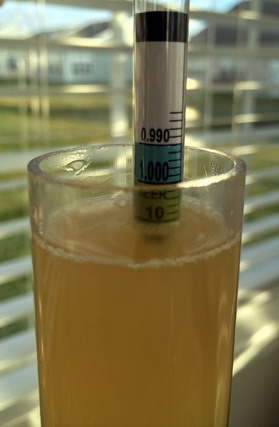 witbier-FGsml.jpg