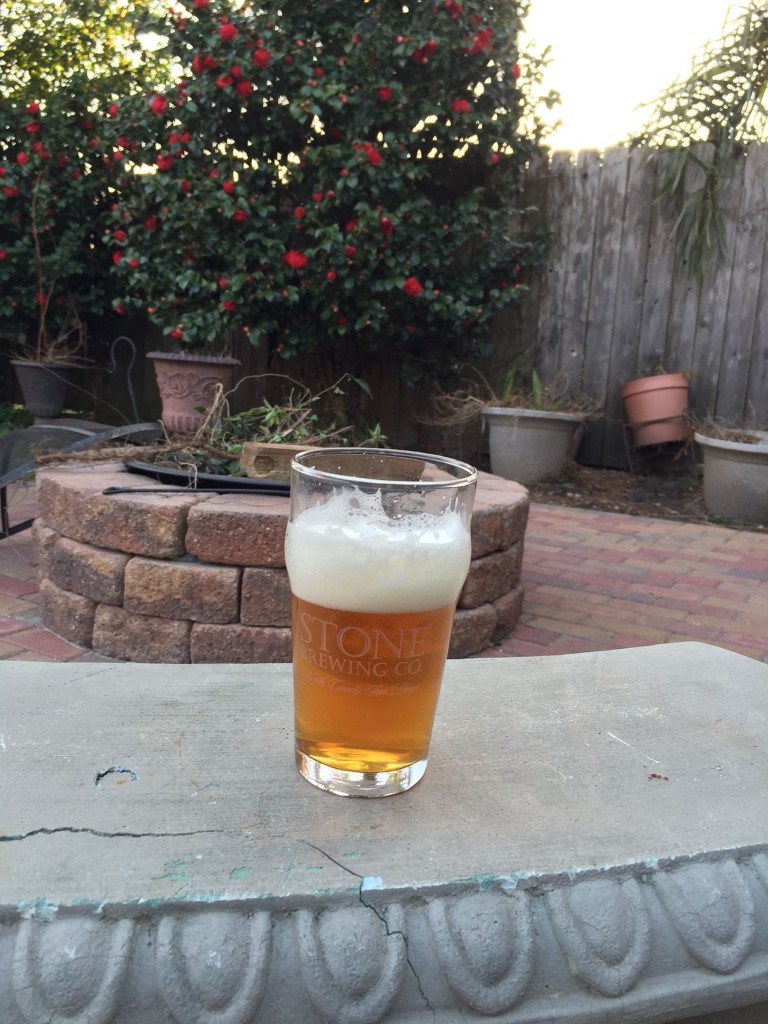 Breakwater Pale Ale (Medium).jpg