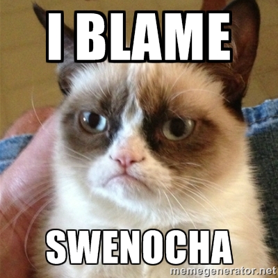 I blame swenocha.jpg