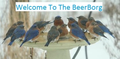 Brew Birds.jpg