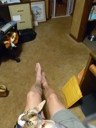 Leg.JPG